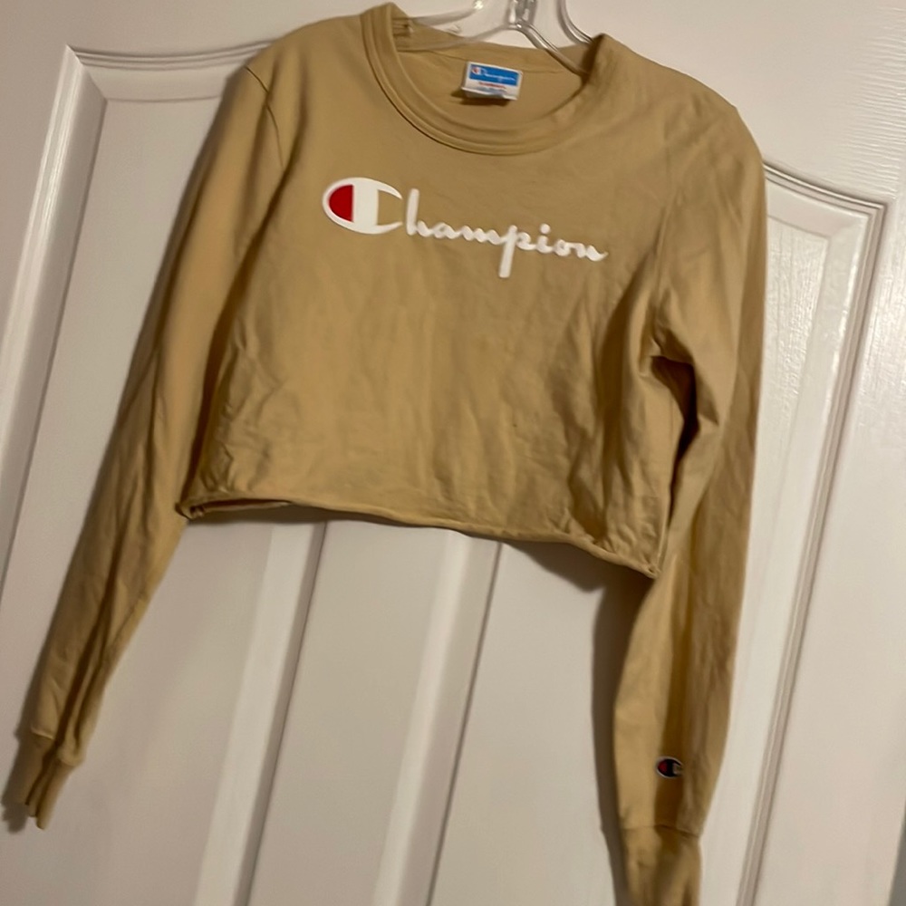 Champion long sleeve crop top
